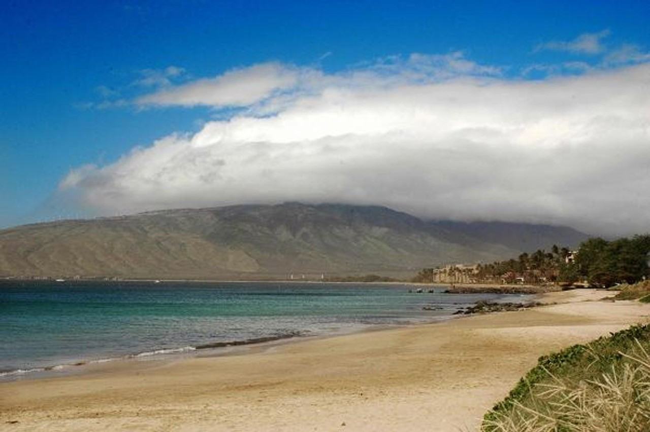 140 Uwapo Rd #44-203 - Photo 2 of 36