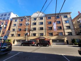 Solo at Hudson - Photo 1 of 1