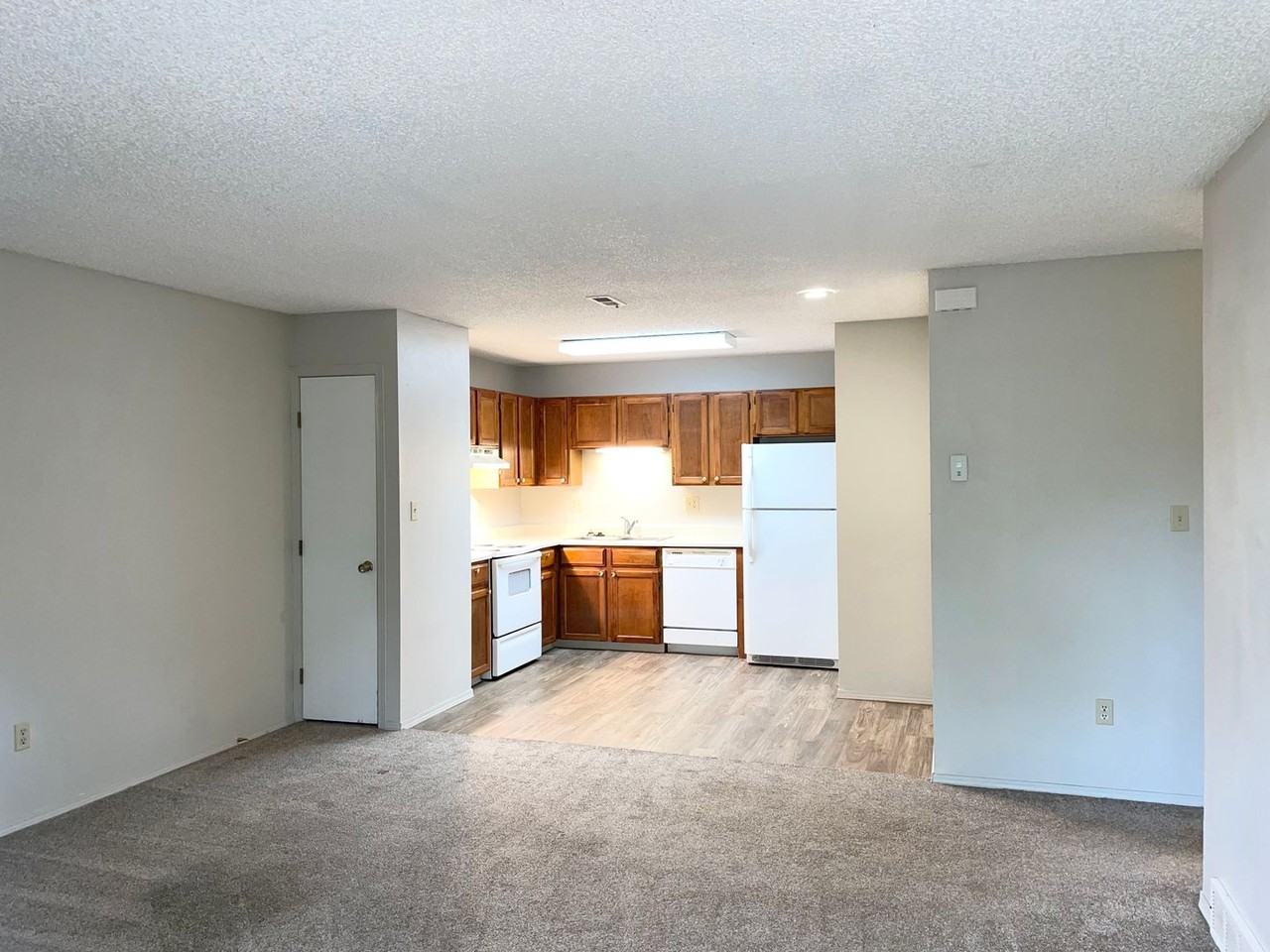 4429 Hunting Meadows Cir - Photo 2 of 11