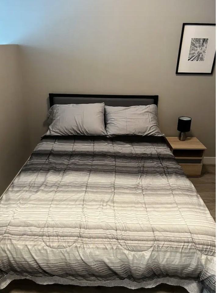 250 Albert St - Photo 2 of 11