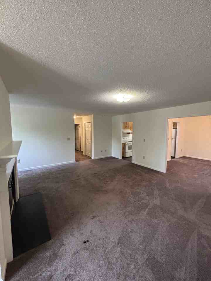 435 Pine Ave - Photo 3 of 9