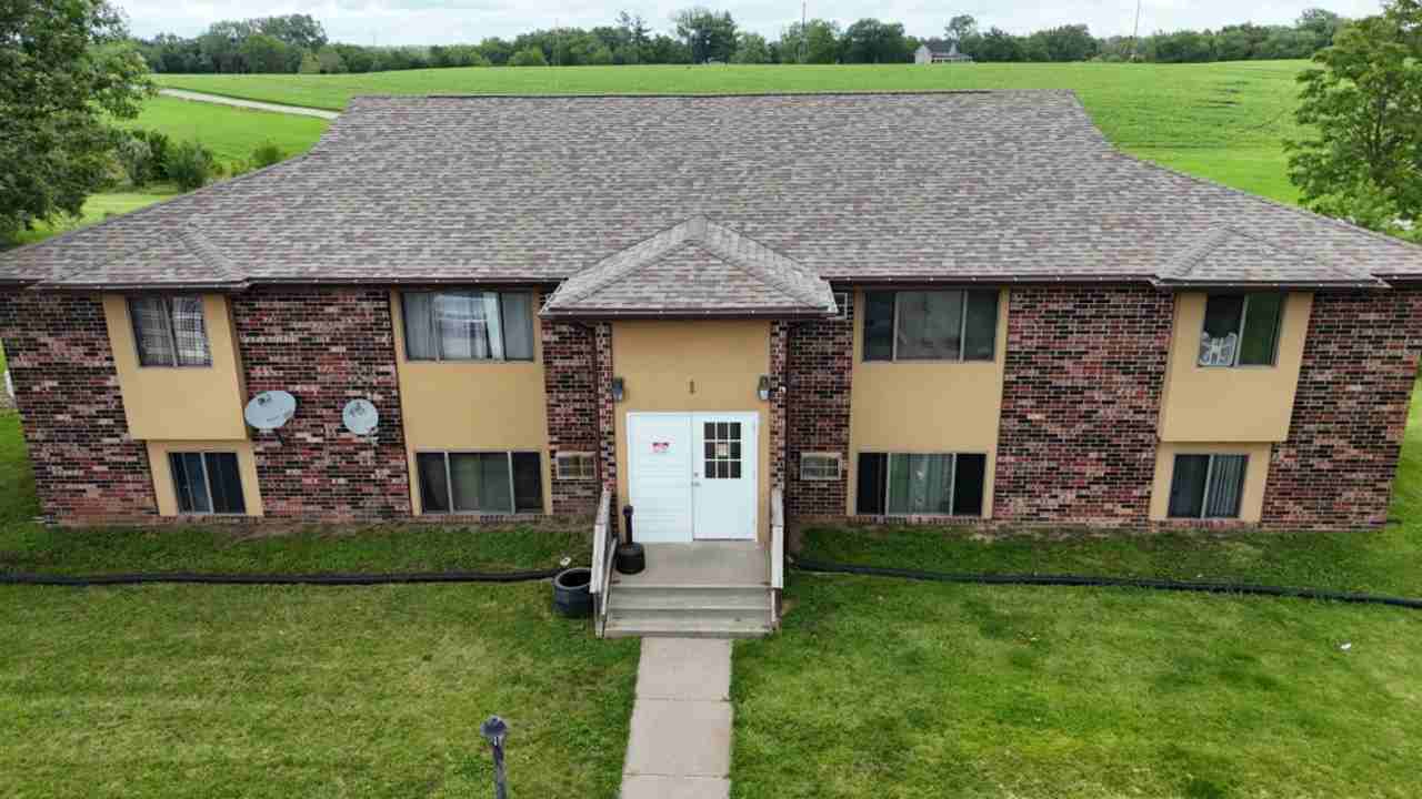 iLion - 307 - Photo 2 of 10