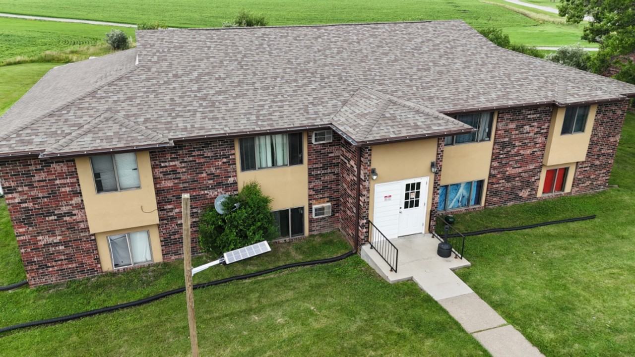 iLion - 307 - Photo 3 of 10