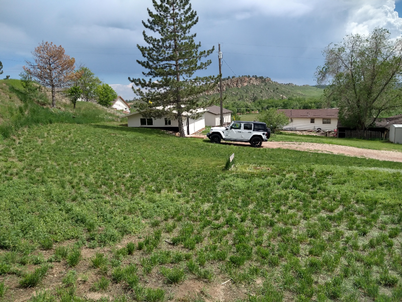 2904 Black Fox Run Ln - Photo 2 of 33