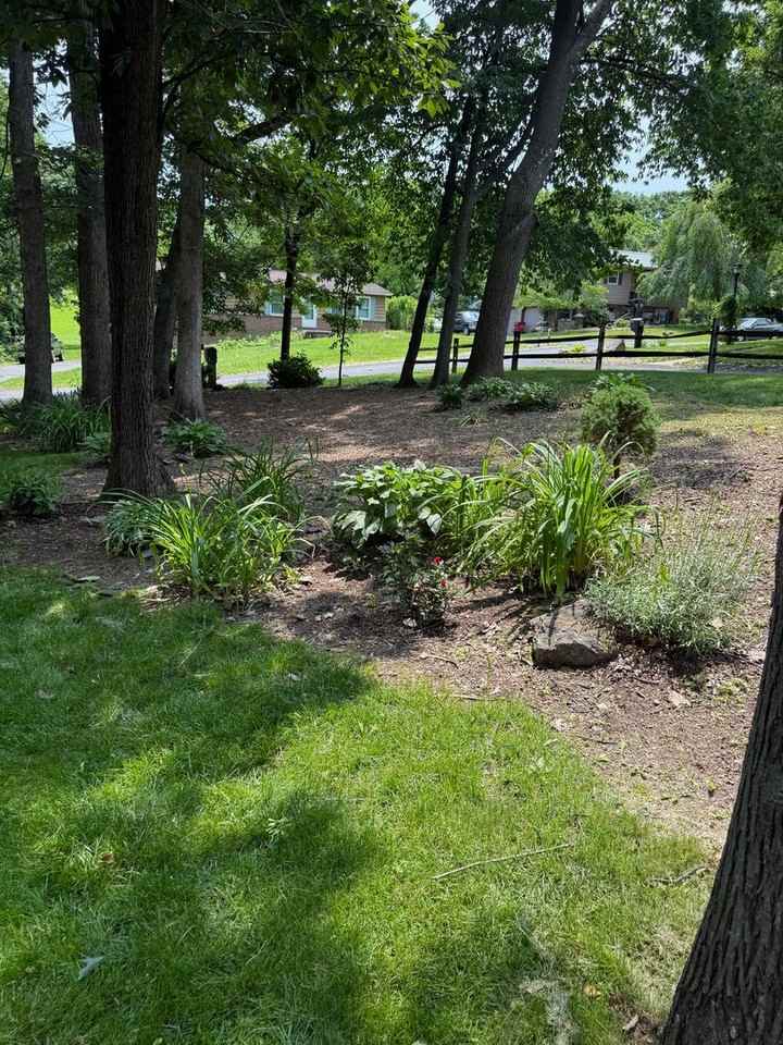 1531 E Strohm Dr - Photo 7 of 50