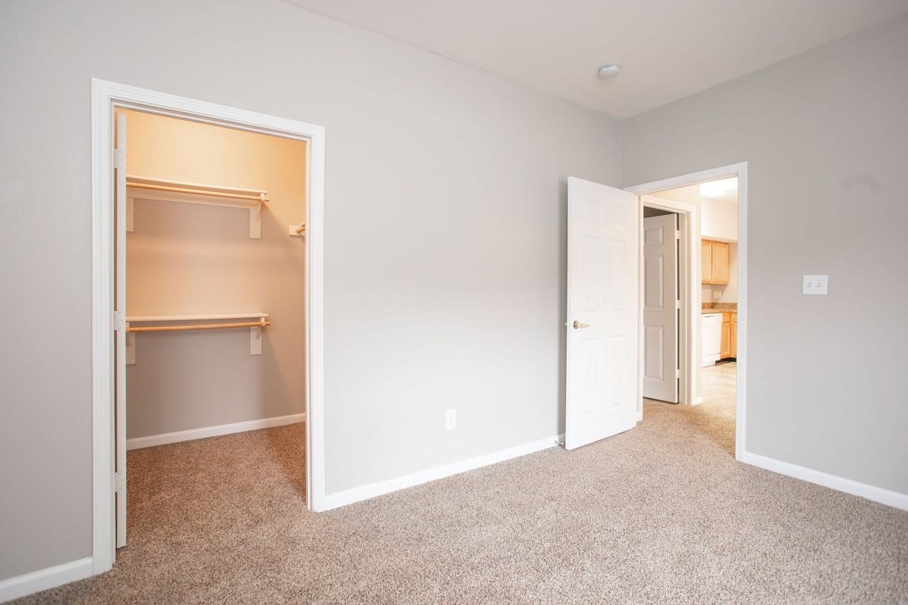 Pinebrook Apartments - Photo 7 of 22