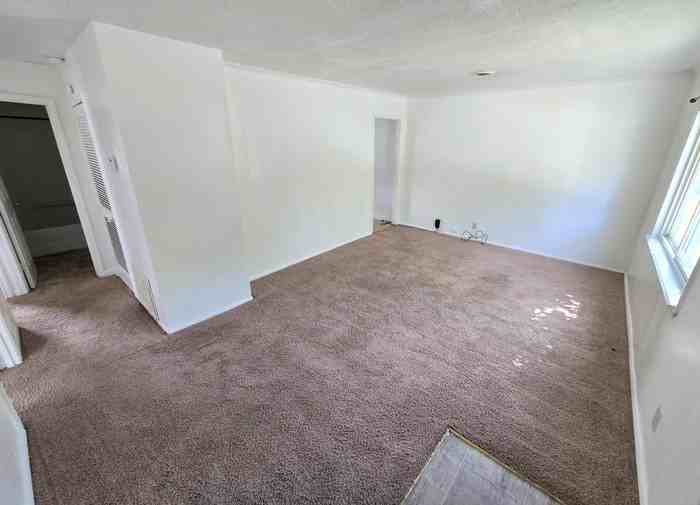 13 Ireland St - Photo 3 of 16
