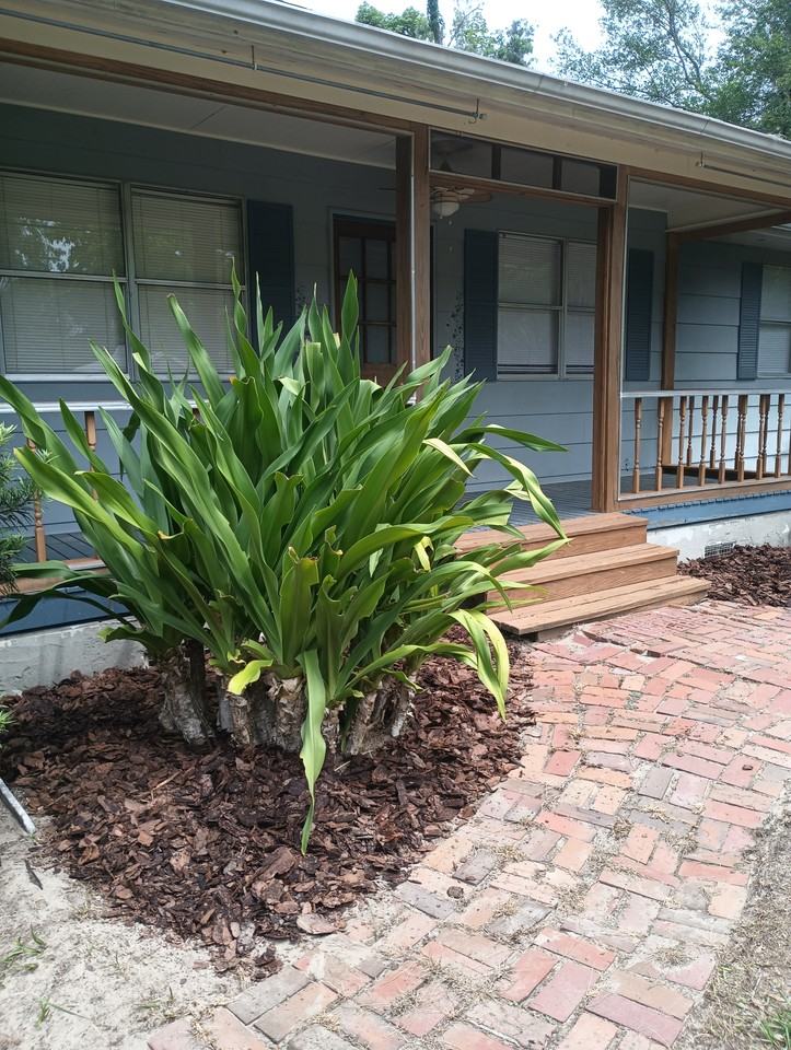 460 Paradise Ln #NA - Photo 2 of 18