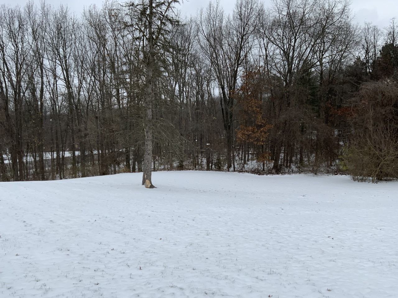 9440 Spencer Rd #NA - Photo 2 of 19