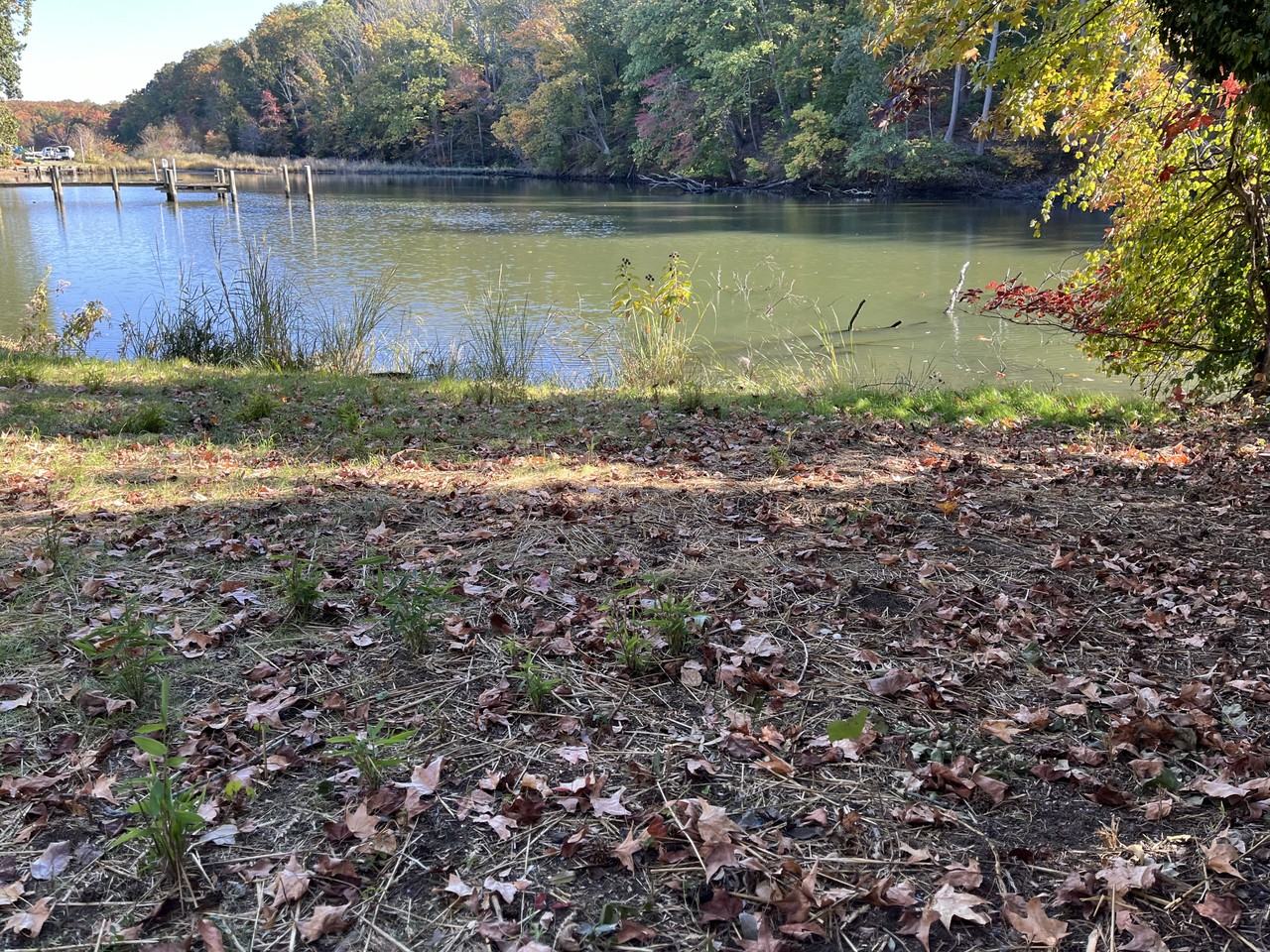 484 Riverview Dr #NA - Photo 3 of 14