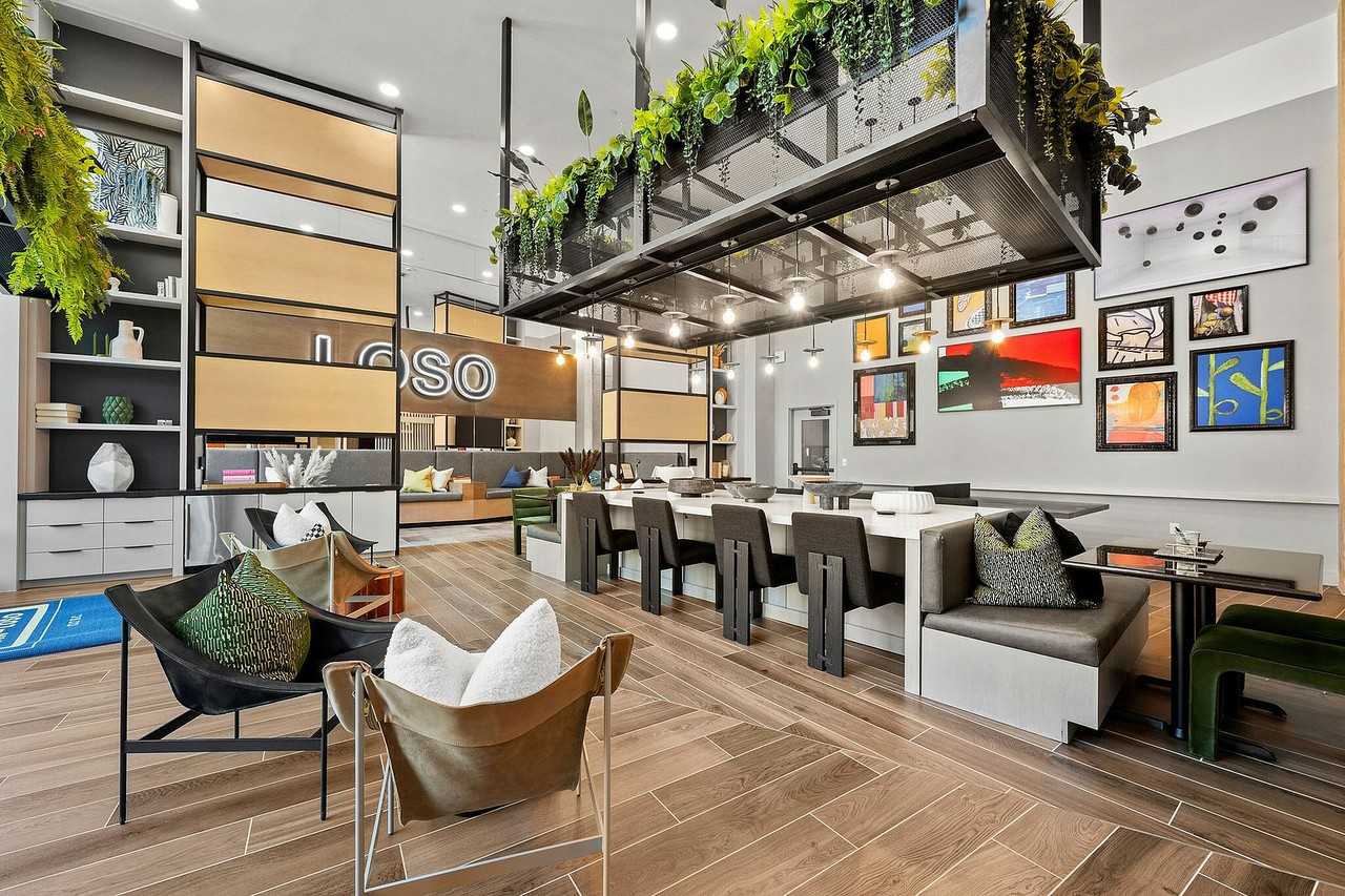 Elan LoSo - Photo 2 of 46