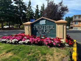 Heather Ridge - Photo 1 of 1