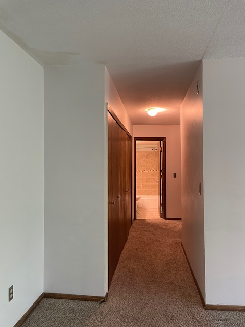 711 11th Ave S #7 - Photo 6 of 11