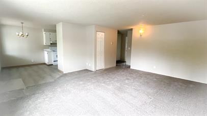 1015 Nandina Street - Photo 7 of 9