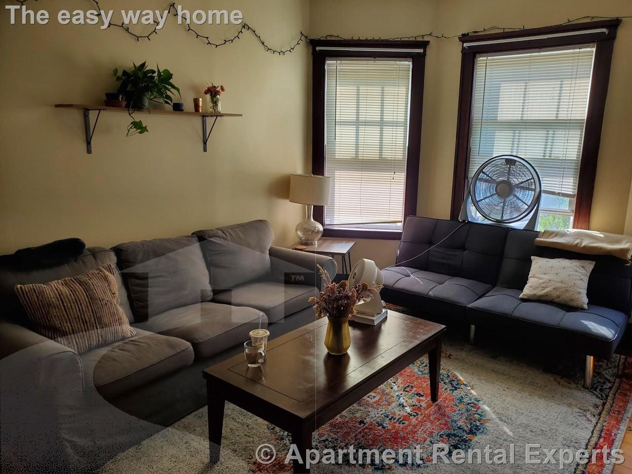 154 Magazine St #21 - Photo 3 of 13