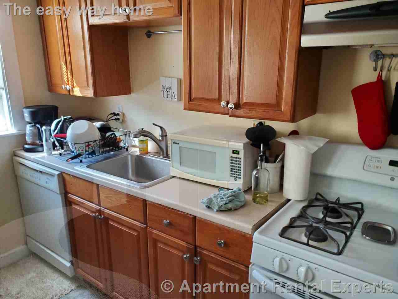 154 Magazine St #21 - Photo 5 of 13