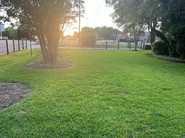 1975 Vineville Avenue - Photo 6 of 50