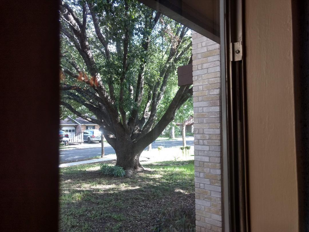 13335 El Charro St #NA - Photo 3 of 22