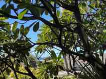 160 Keonekai Road - Photo 1 of 1