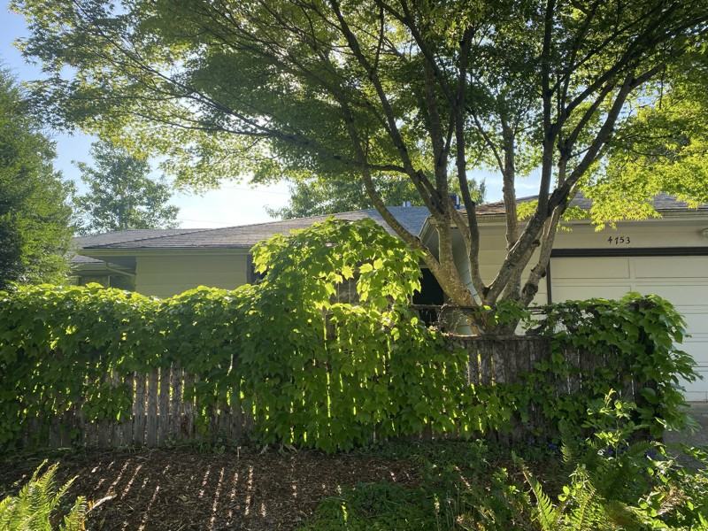 4753 Nina Ave Se - Photo 2 of 20