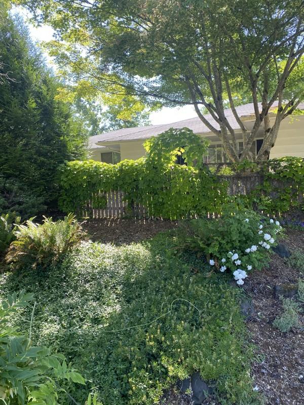 4753 Nina Ave Se - Photo 3 of 20