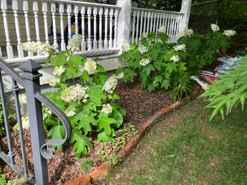 1905 Oak St - Photo 4 of 19