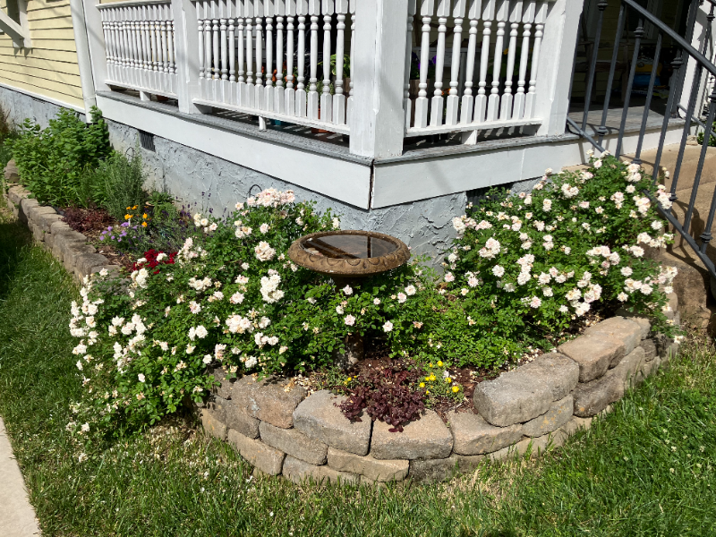 1905 Oak St - Photo 5 of 19