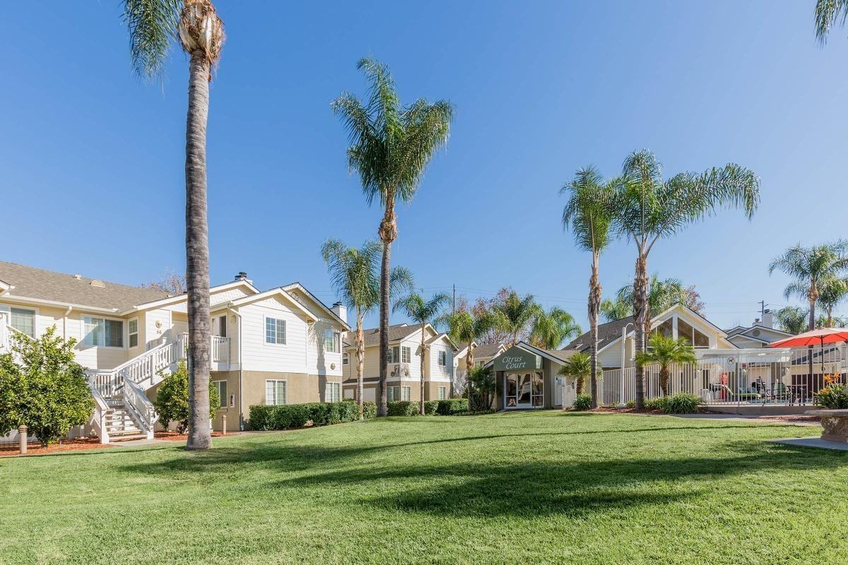 Citrus Court Apartments - Photo 6 of 50