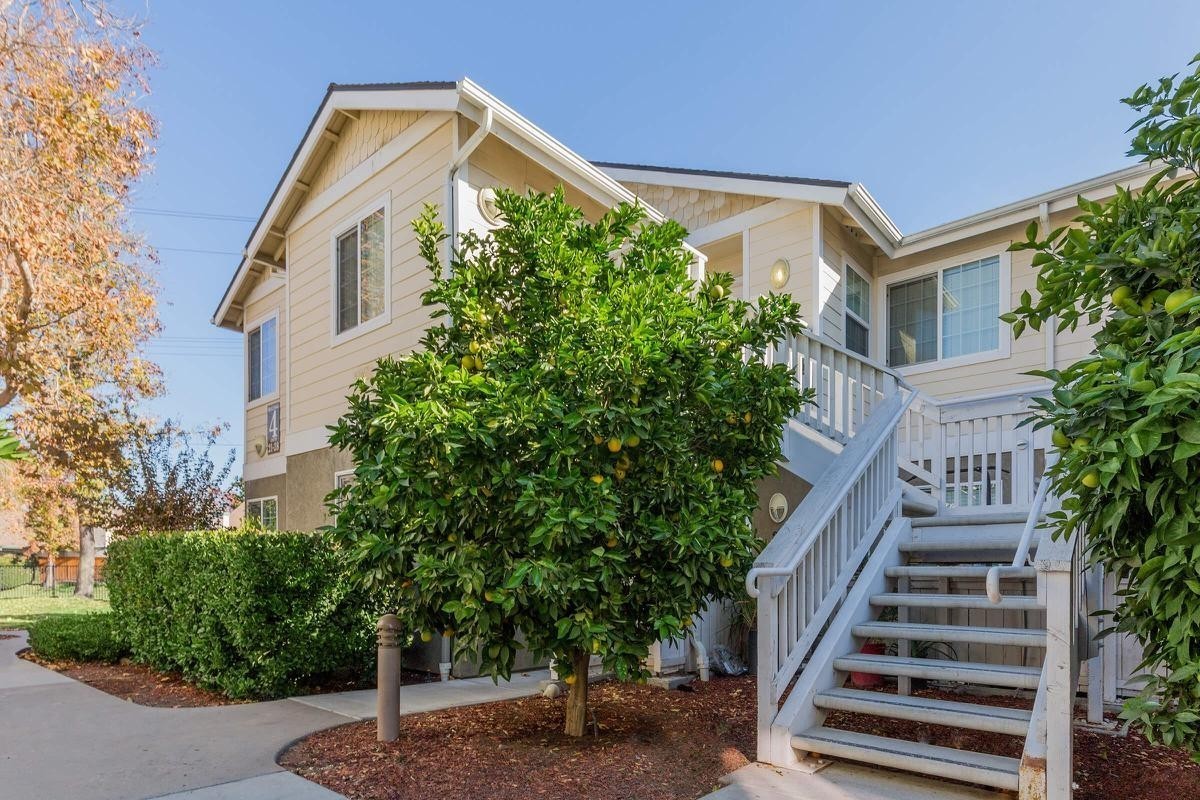 Citrus Court Apartments - Photo 7 of 50