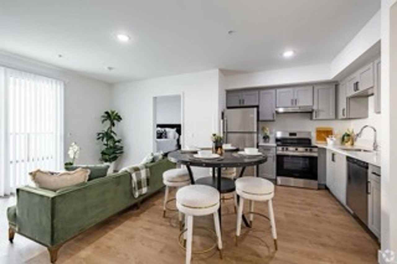 The Brightly - Photo 7 of 50