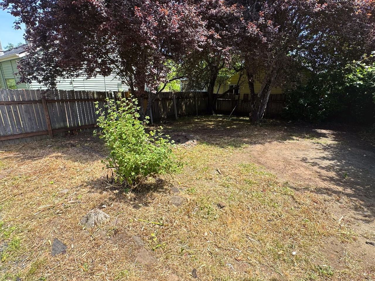 25 E 32nd Ave - Photo 7 of 24