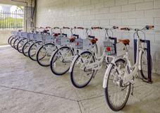 The Pinnacle on 31st Street - Photo 1 of 1