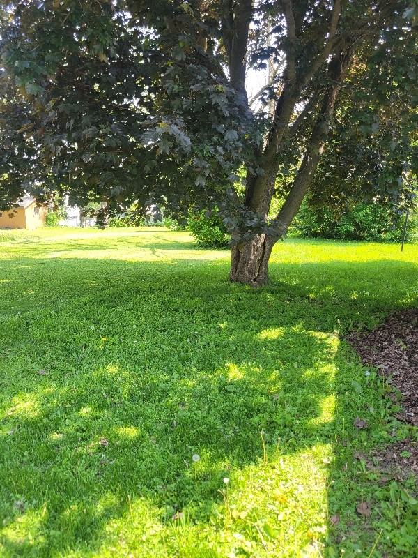 123 E Mill St - Photo 3 of 15