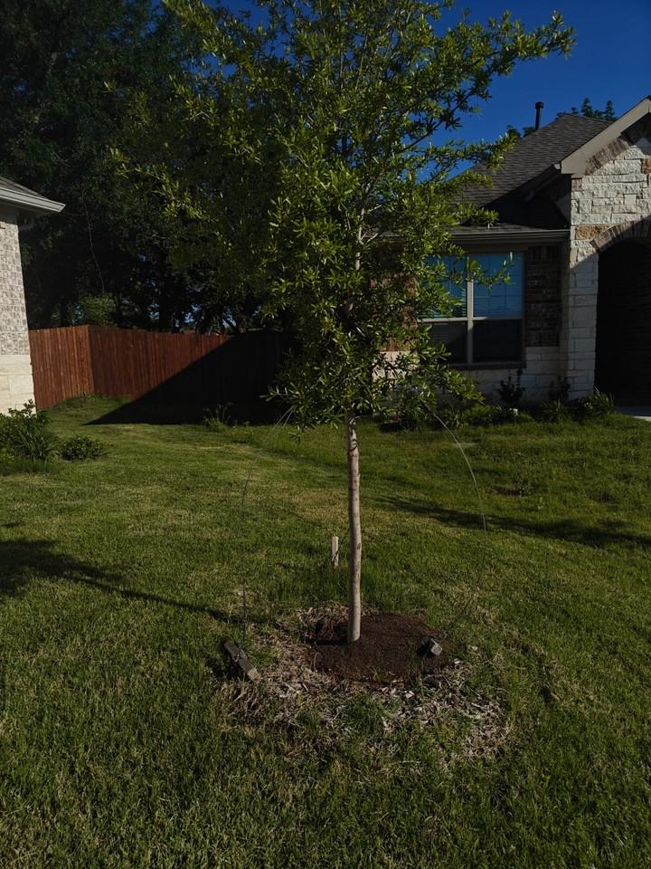 2516 Sakeena Ct #NA - Photo 2 of 30