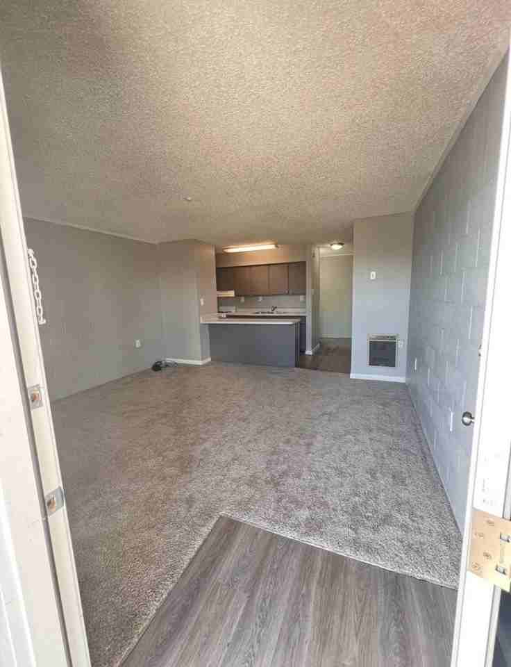 Fleur - Photo 5 of 45