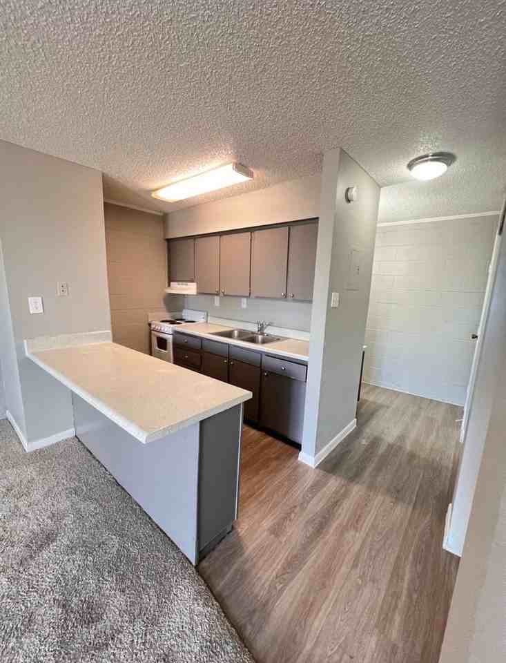 Fleur - Photo 6 of 45