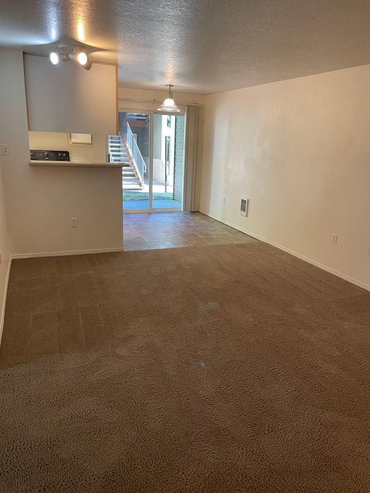 Bonita Court - Photo 6 of 50