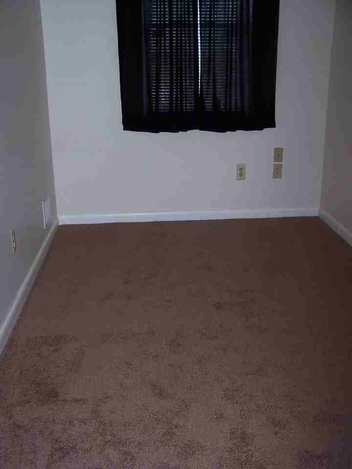 922 Elton Ave - Photo 7 of 22