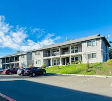 Courtside Apartments - Photo 1 of 1