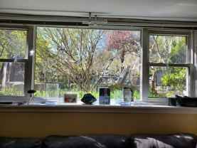 21 Love Crescent #Lower - Photo 1 of 1
