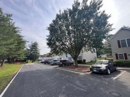 featured image of Culpeper Court