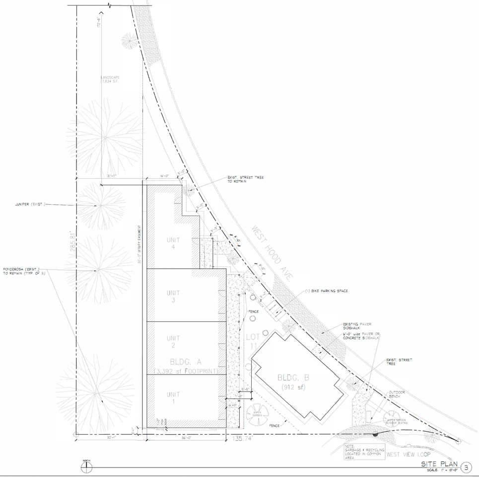 Barn Swallow - Photo 2 of 2