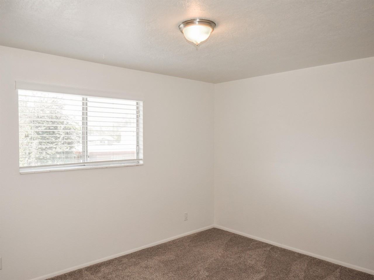 257 Westnorth #B - Photo 5 of 17