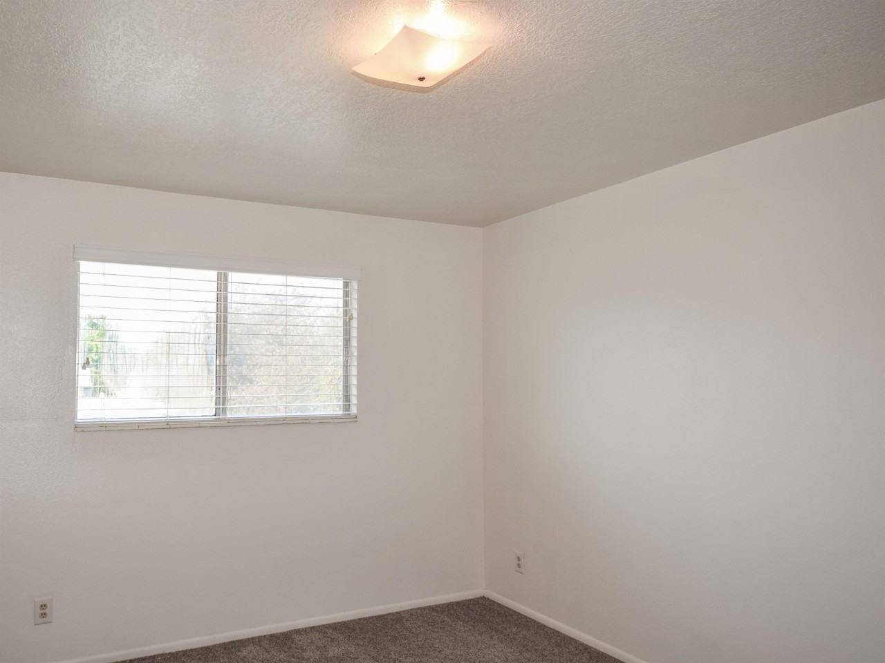 257 Westnorth #B - Photo 5 of 17