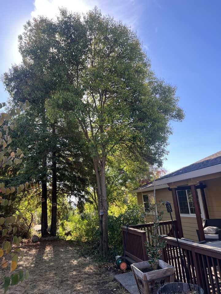2822 Montebello Way #NA - Photo 3 of 12