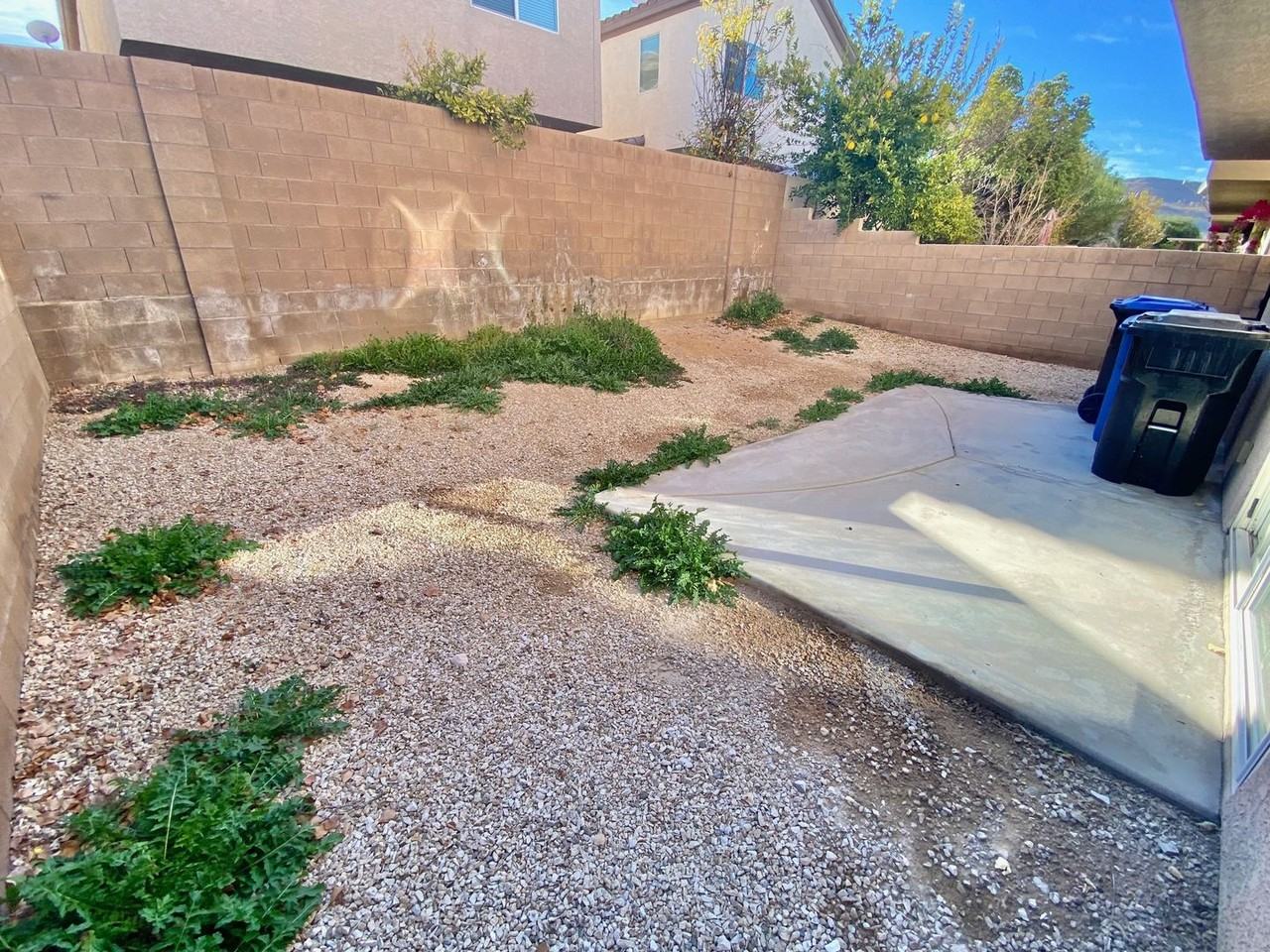 287 Fringe Ruff Dr - Photo 3 of 50