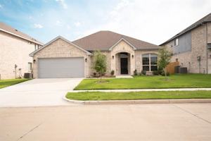 featured image of 216 Painted Trl