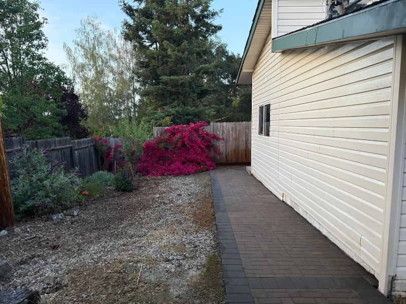 27181 Adonna Ct #A - Photo 3 of 15