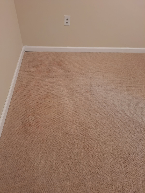 4012 Bald Hill Ter #4012 - Photo 6 of 17