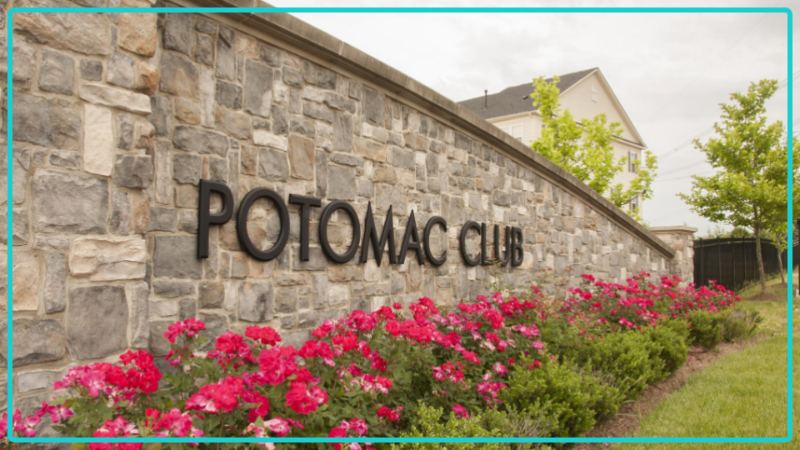 2203 Greywing Street - Photo 2 of 36